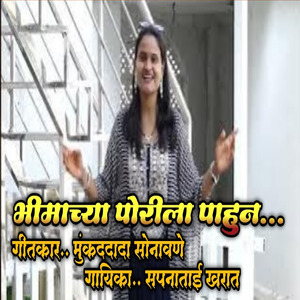 Bhimachya Porila Pahun