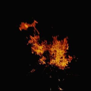 尘埃落定（demo）