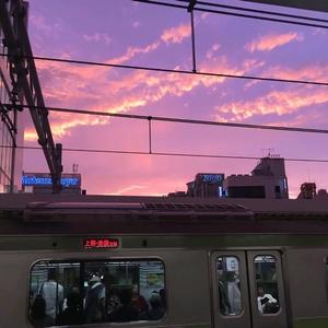 多情种（如花似梦短暂相逢）