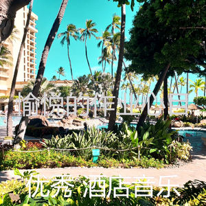 优美酒店鸡尾酒吧器乐