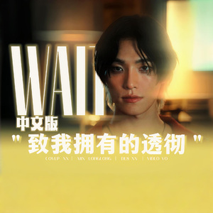 Wait【中文填词】