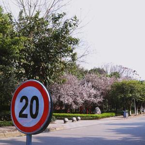 做世界第一可爱的成师女孩