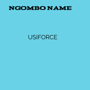 Usiforce