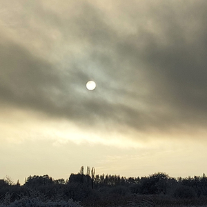 Не имея