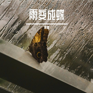 雨变成蝶