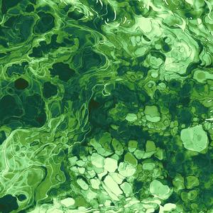 Montane (Green Noise)