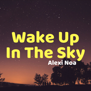 Wake up in the Sky