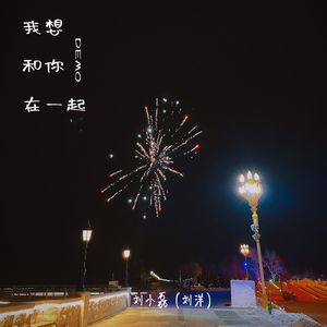 我想和你在一起 (Demo)