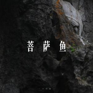 菩萨鱼 - R&B男声