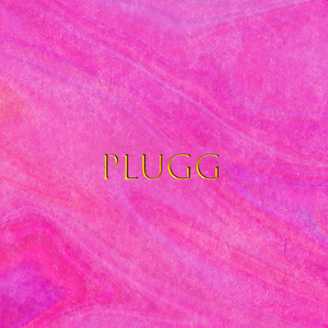 Plugg
