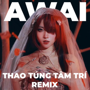 THAO TÚNG TÂM TRÍ (Remix)