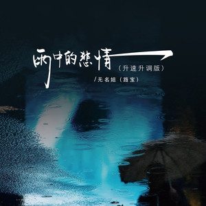 雨中的悲情 (升速升调版)