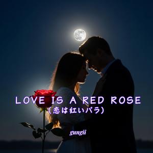Love Is a Red Rose（恋は紅いバラ）