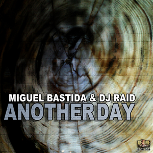 Another Day (Miguel Bastida Interpretation)