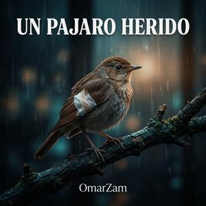 Un Pajaro Herido