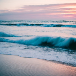 さくらもちはどこ？