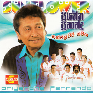 Kalu Mahaweli (SUNFLOWER)