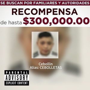 Cebolletas
