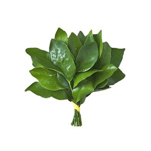 春夏秋冬的你.mp3