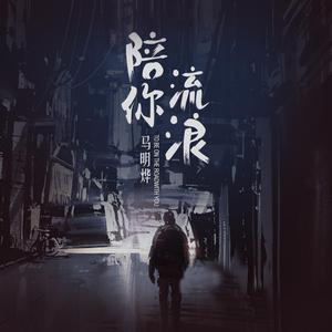 陪你流浪
