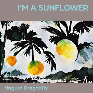 I’m a sunflower