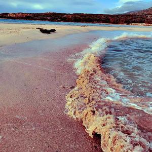 不洒脱（demo） 伴奏