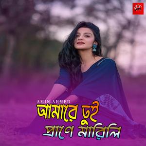 Amare Tui Prane Marili