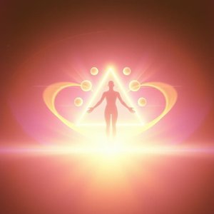 顶轮（Top wheel）