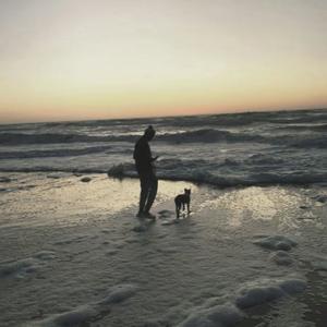 思念总难捱vol.8