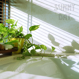 Sunny Day