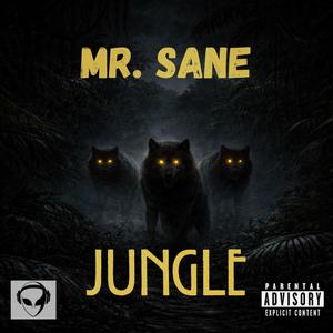 Jungle