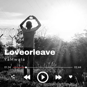 Love or Leave