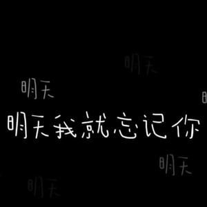 半句再见