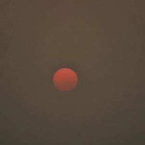 【FREE】“LettingGo-蔡健雅EmoTrapTypeBeat”