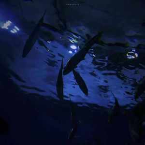 溯Reverse（翻自 CORSAK胡梦周）