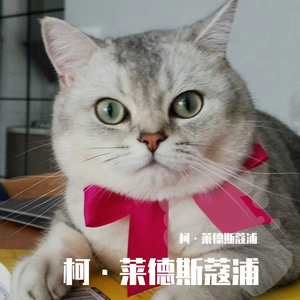 值此佳节
