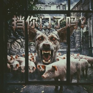 挡你门了吗？