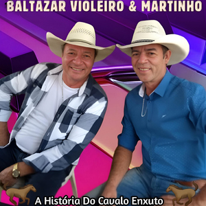 Bonifácio e Joaninha