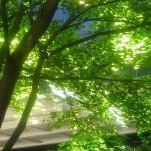 夏（prod by.Lisure）