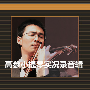 D小调小提琴奏鸣曲：第三乐章：不太快的快板Violin Concerto in D Minor:III. Allegro ma non tanto