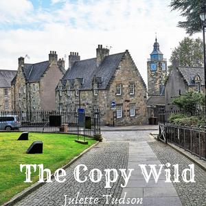 The Copy Wild