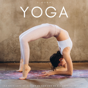 Yoga: Una Relajante Selección De Sonidos De Río Para Tu Práctica - 1 Hora