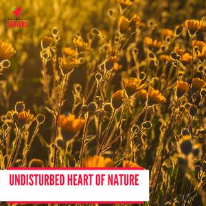 Noble Trees Creaking