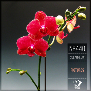 Pictures (Original Mix)