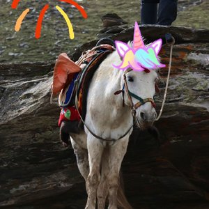 你爱的第一个人是你灵魂缺失的拼图