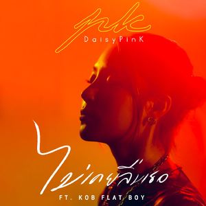 ไม่เคยลืมเธอ