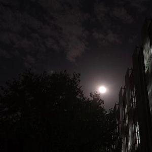 我用什么把你留住