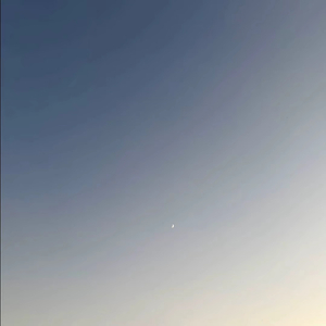 原来沉默 是最高级的折磨