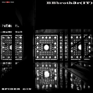 Spider Gin (Original Mix)