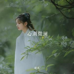 心湖微澜